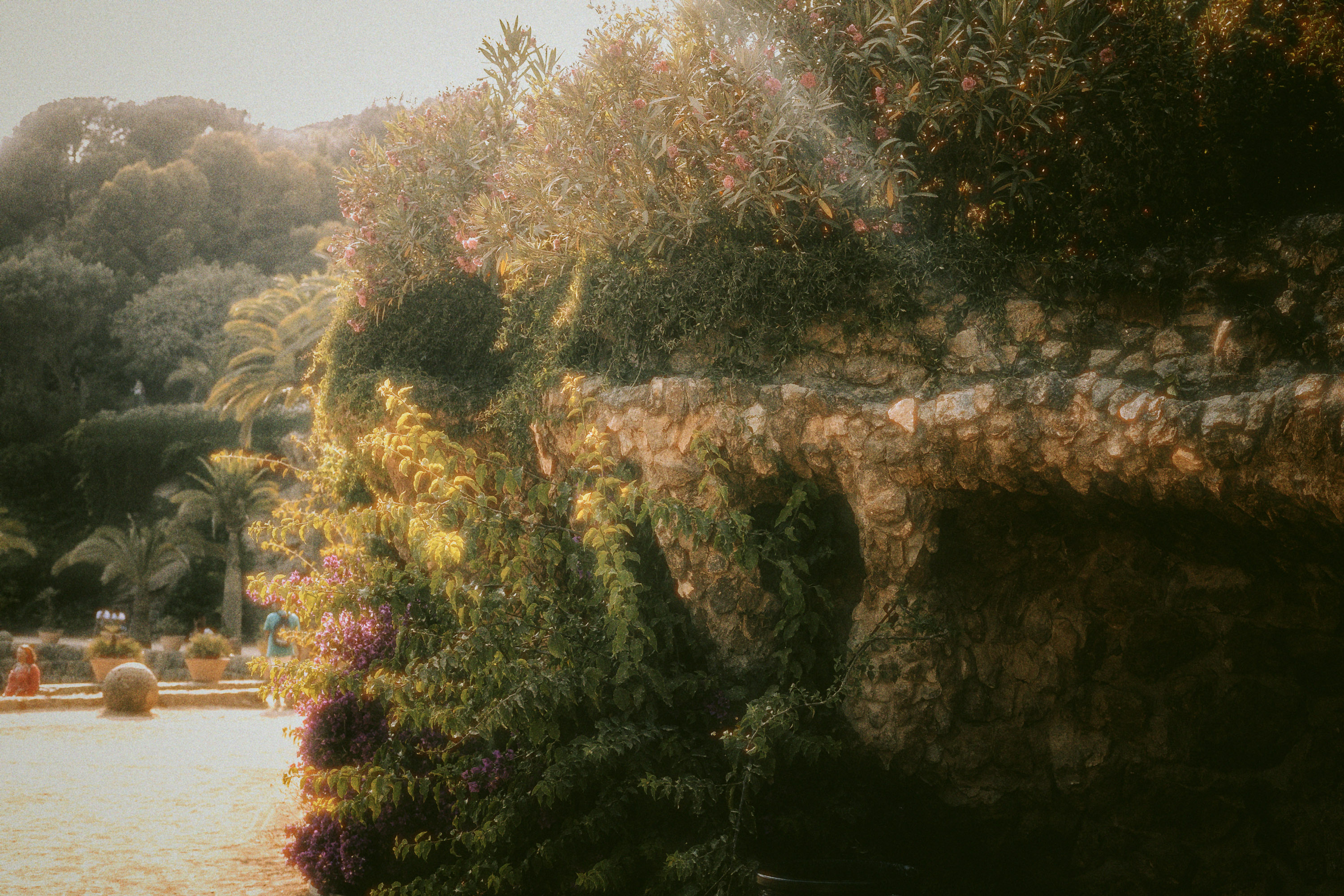 Parc Guell