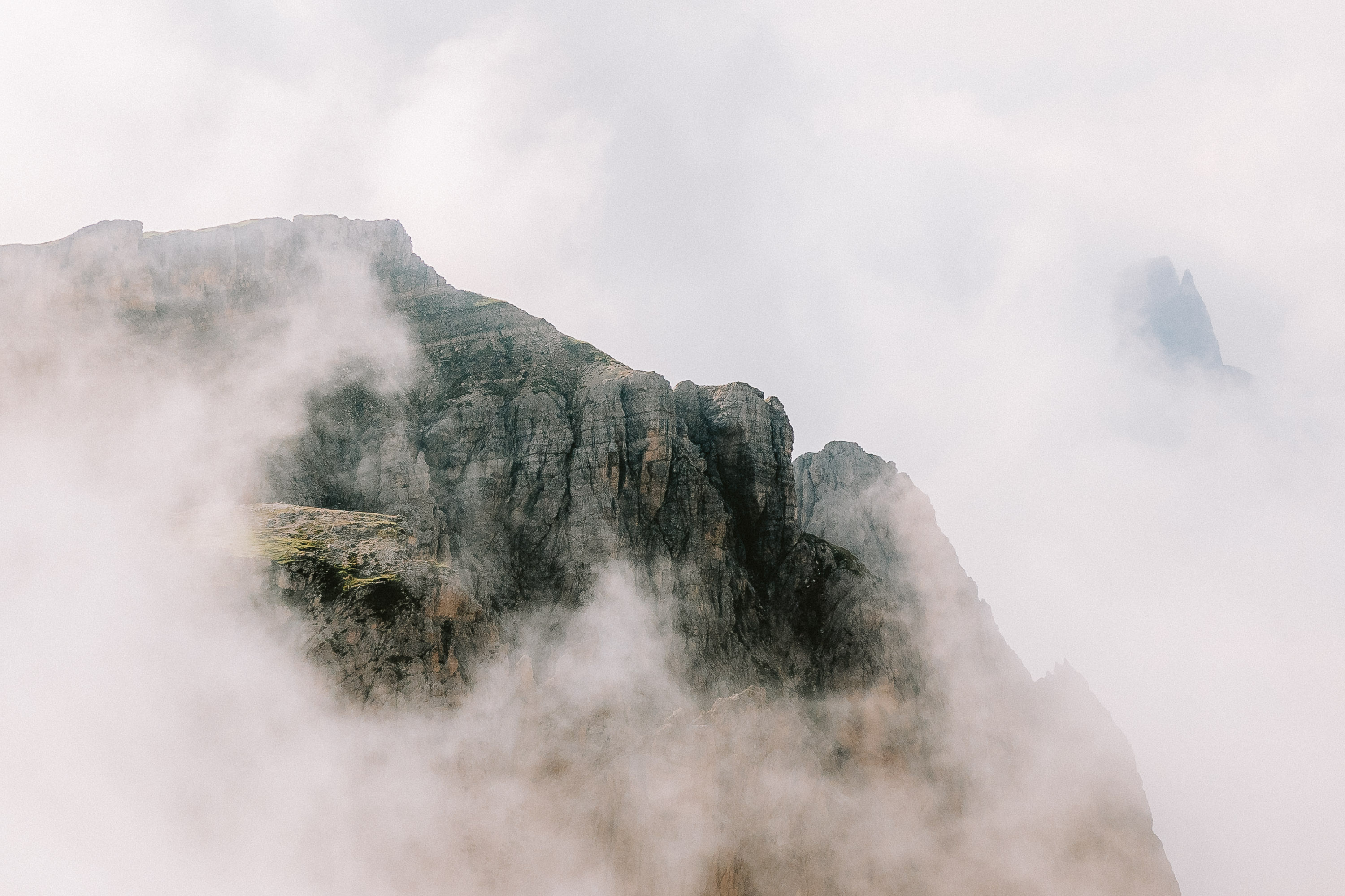 Into the Fog