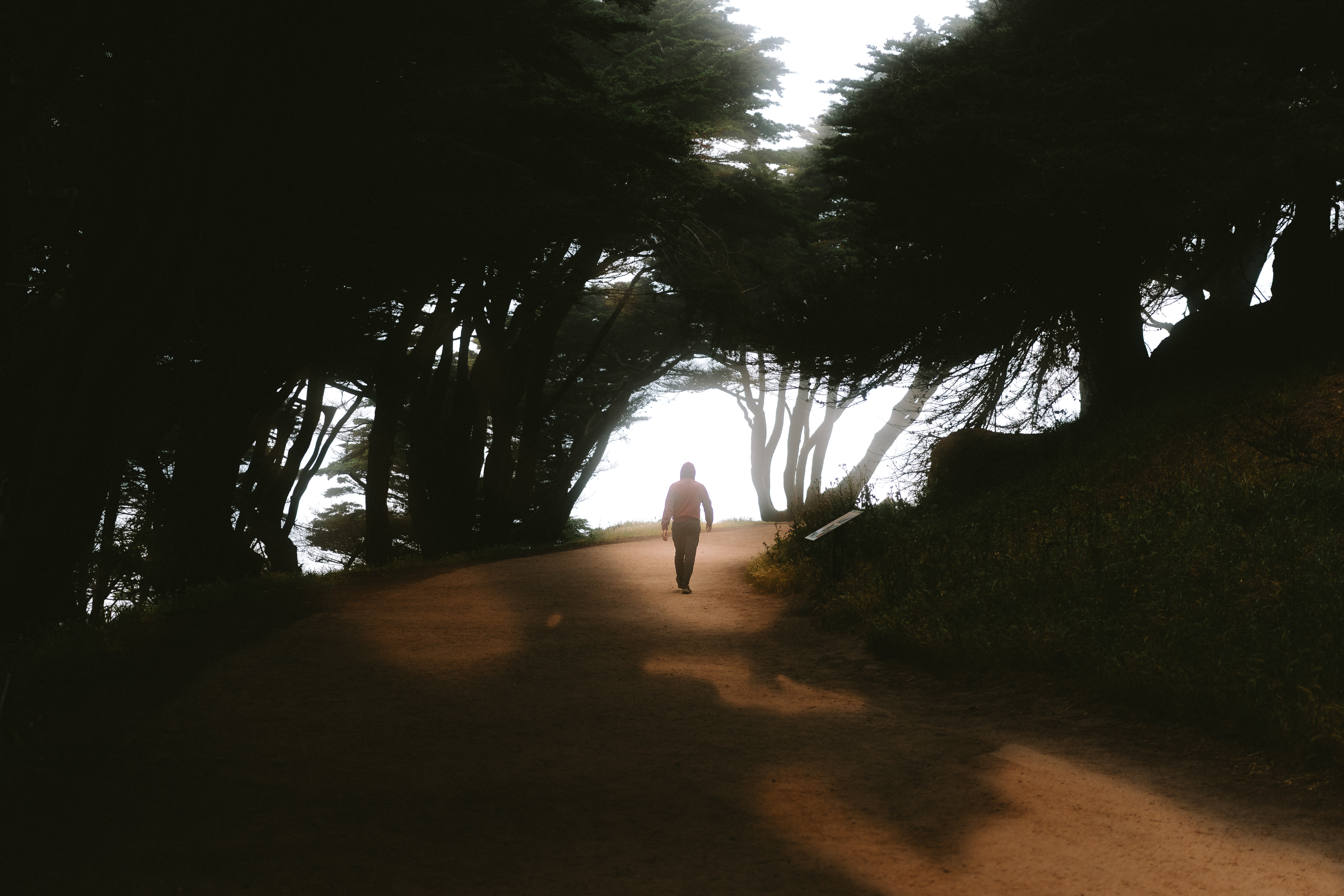 Lands End Fog