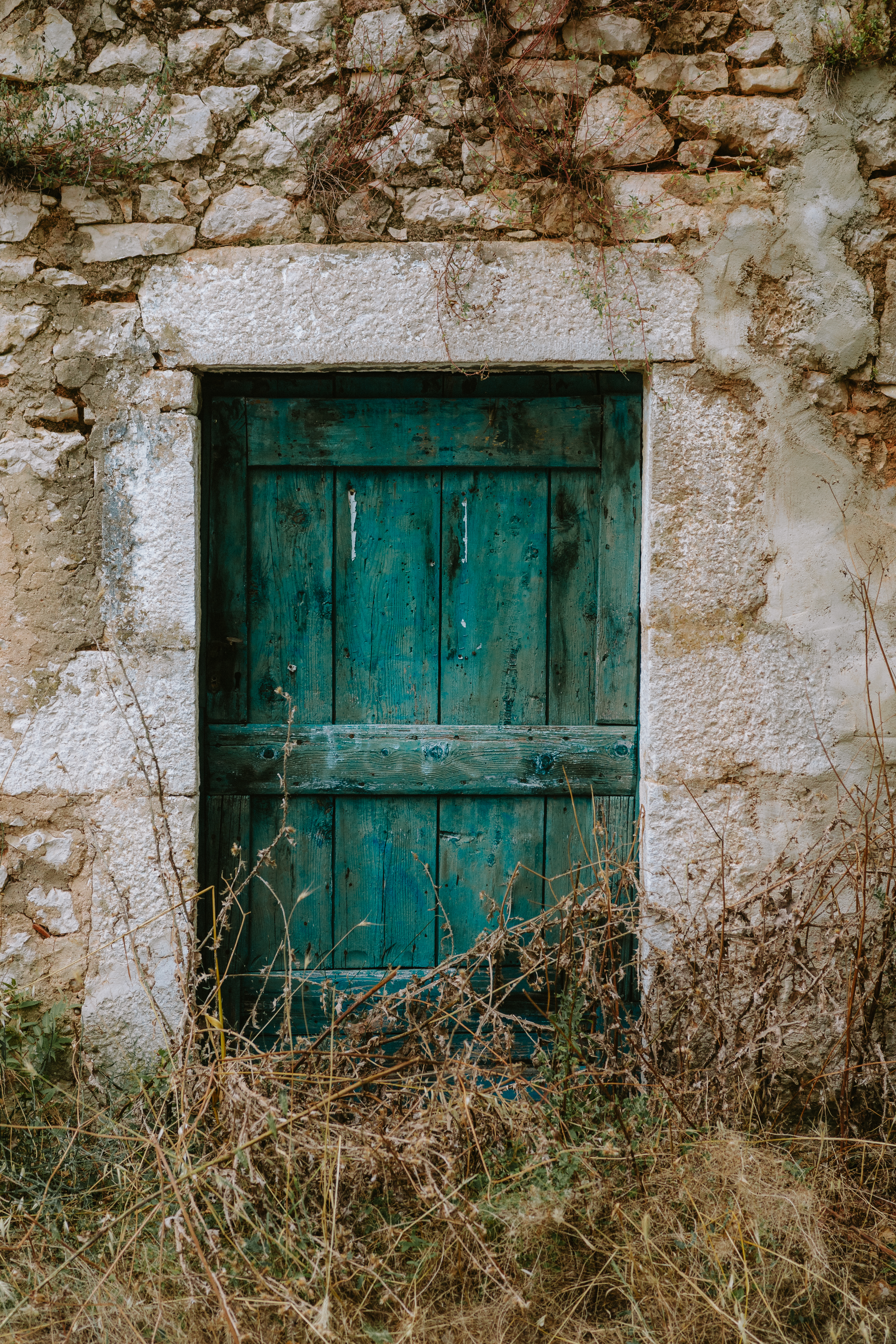 Abandoned Door